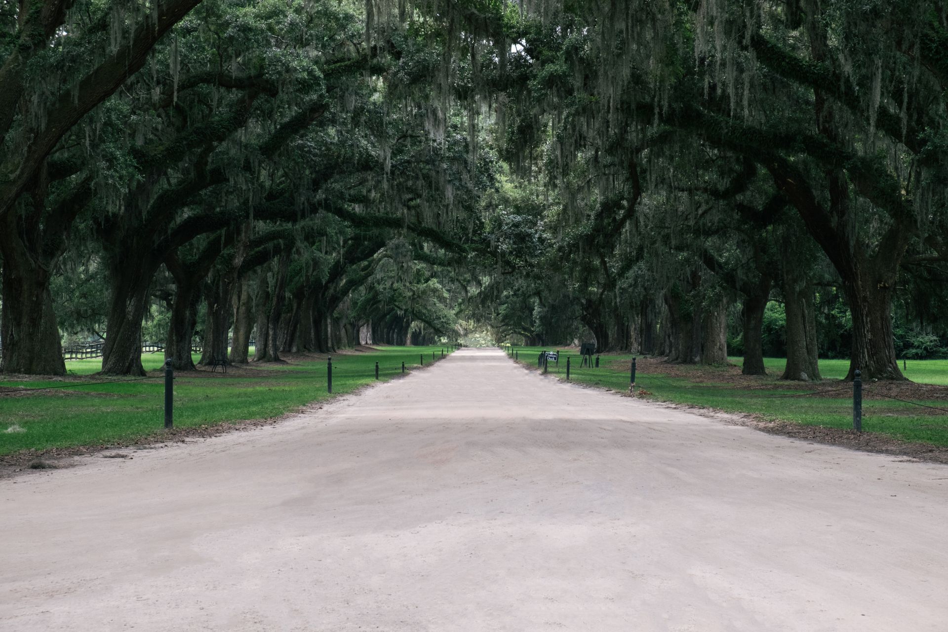 Long oak-lined path road in Charleston