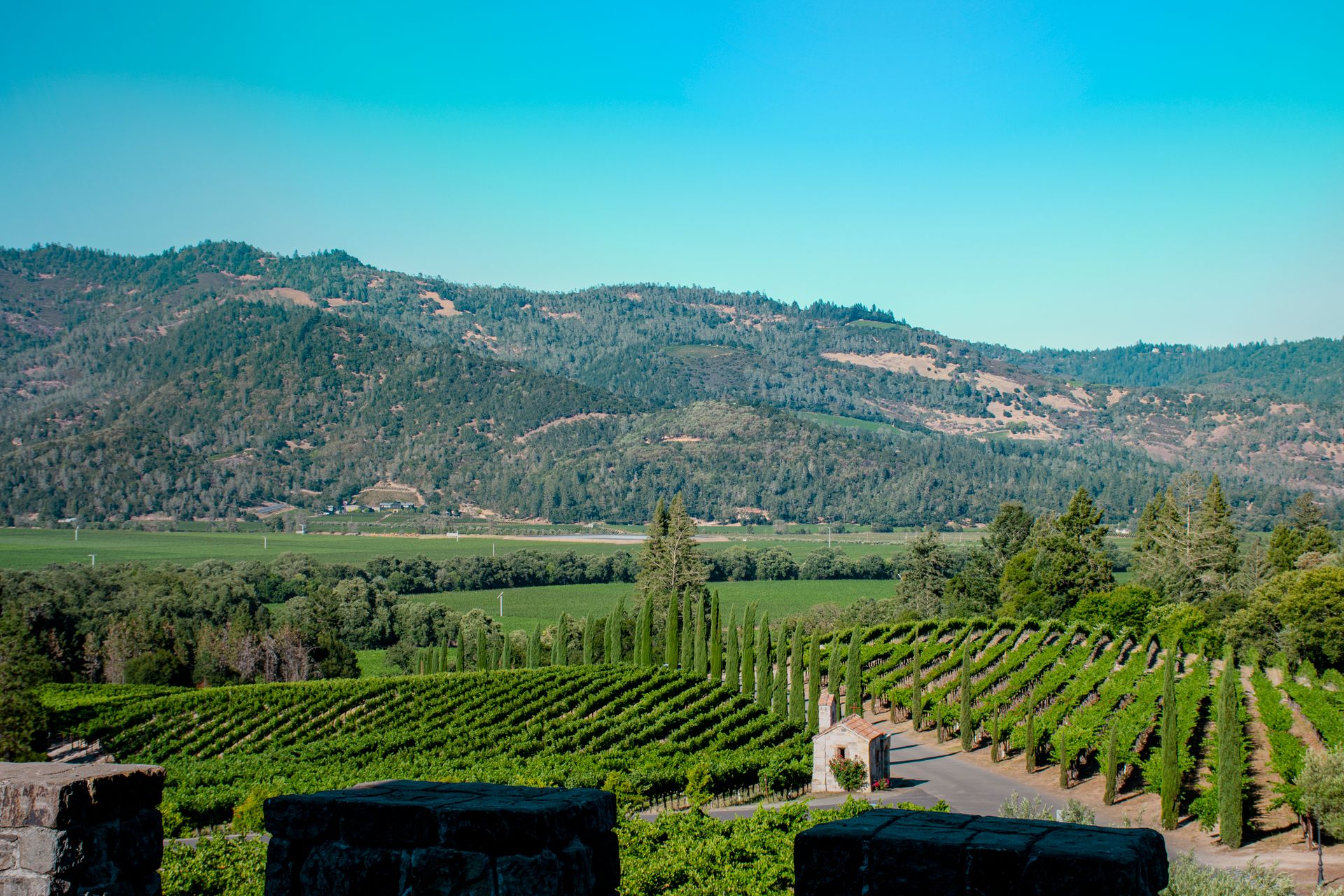 Vineyard rows stretching across Napa Valley under a clear blue sky